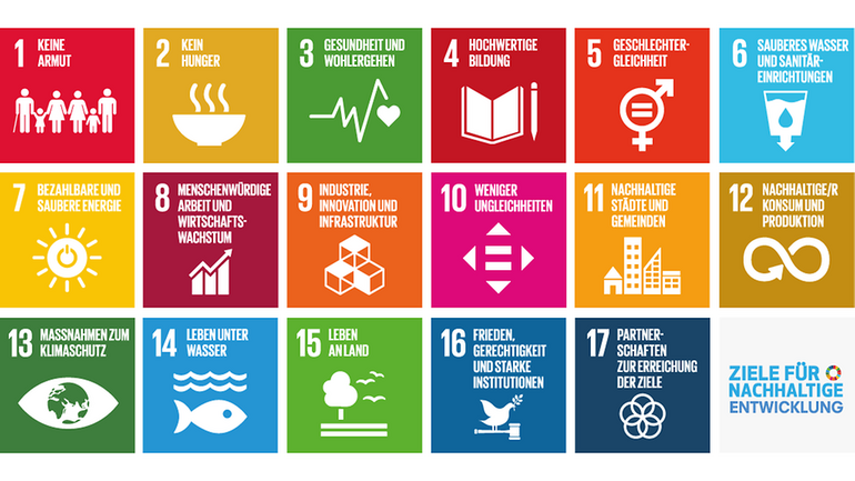 Die 17 SDGs